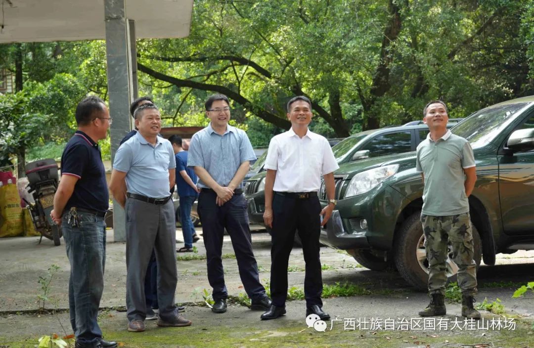 大桂山林场简介_大桂山林场场长_大桂山林场