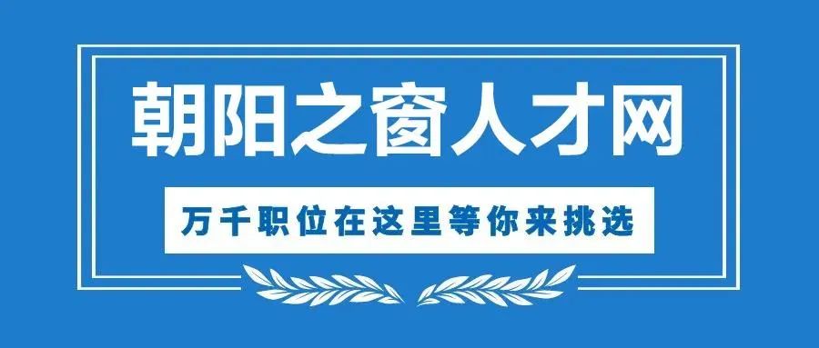 辽宁省教育招生考试院官网站_辽宁教育考试招生之窗网站_辽宁省教育招生考试之窗