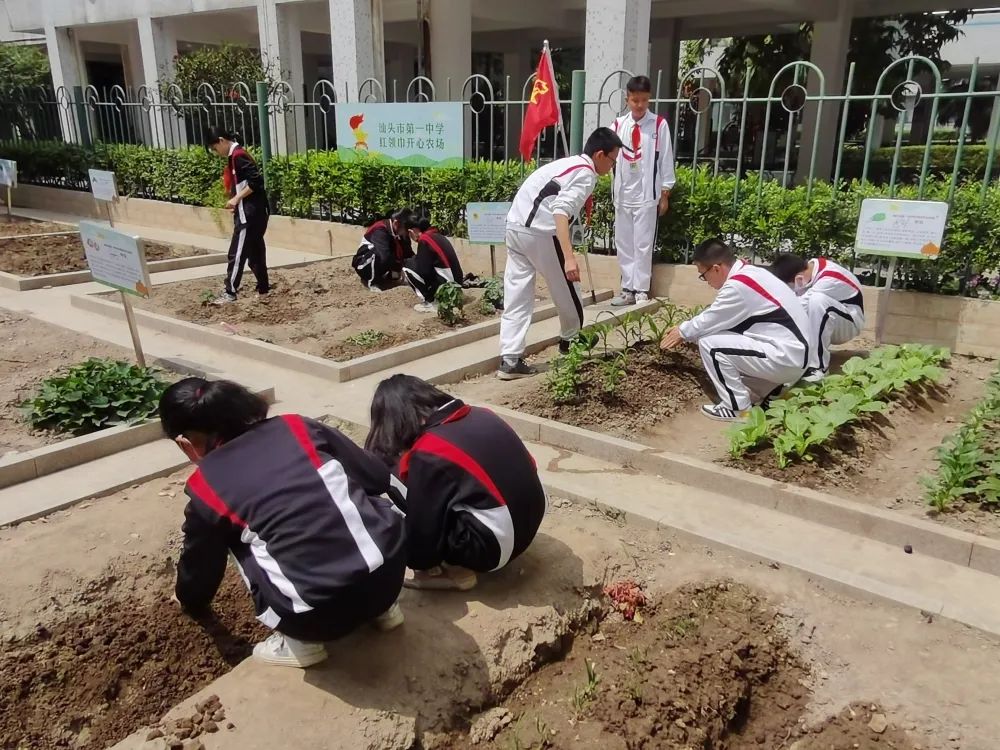 汕头一中高中部_汕头市第一中学_汕头一中学校