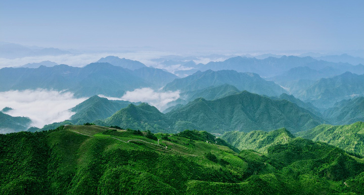 茶叶浙江杭州盛产的是_中国茶叶历史悠久浙江杭州盛产_浙江杭州盛产的茶叶是什么茶叶