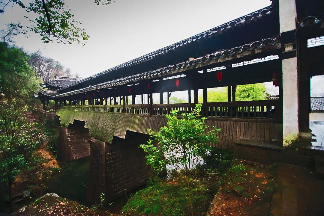 老年专列旅游_老年专列旅游路线推荐_老年专列旅游团