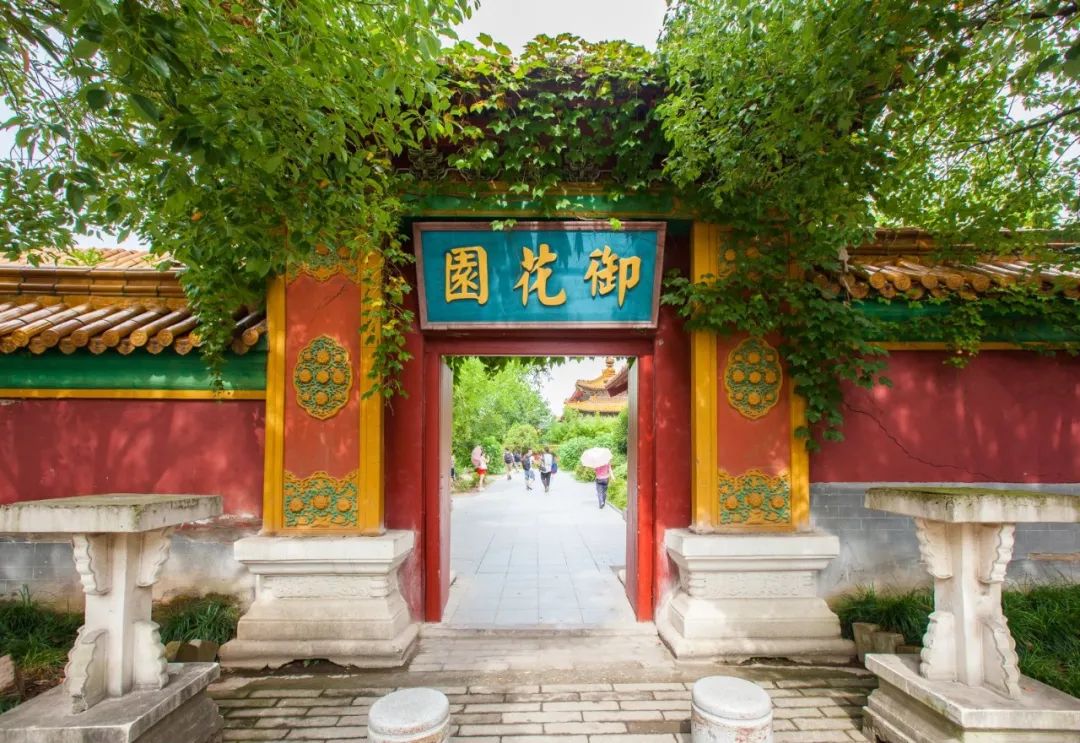 老年专列旅游_老年专列旅游路线推荐_老年专列旅游团