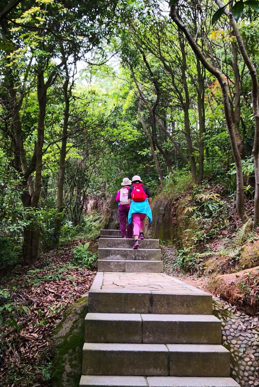 深圳羊台山_羊台山深圳多高_羊台山深圳龙脉