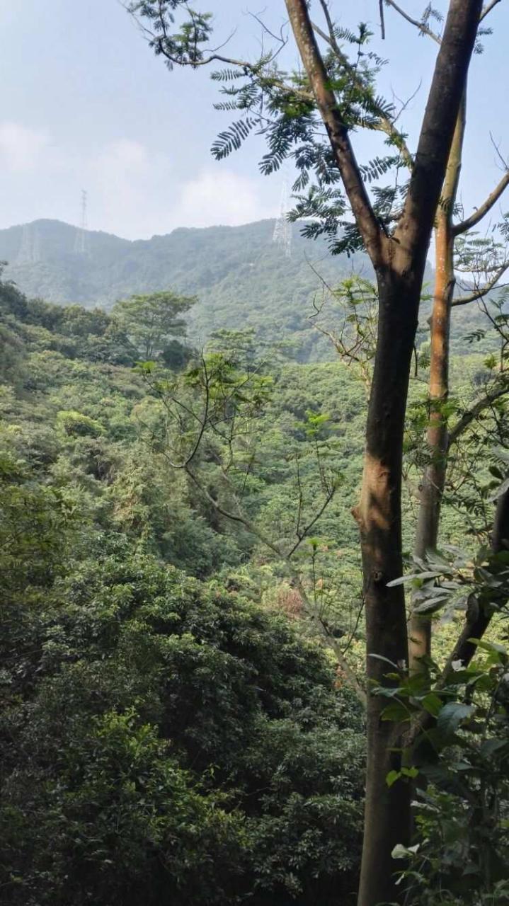 深圳羊台山_羊台山深圳龙脉_羊台山深圳多高