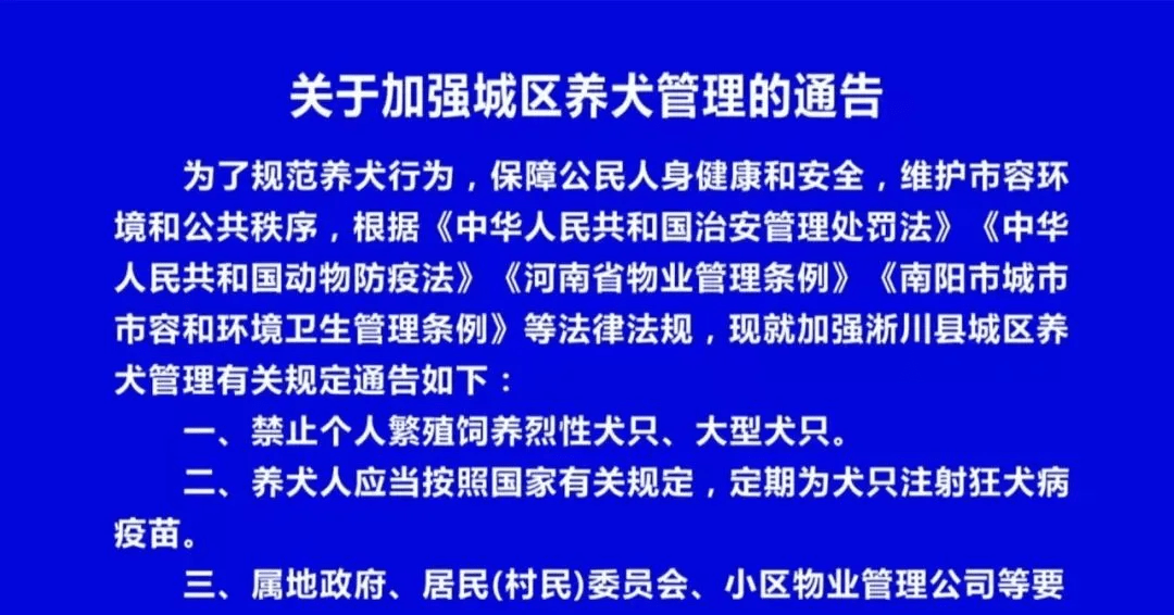 俄罗斯猎狼犬_猎俄罗斯狼犬图片大全_俄罗斯猎狼犬猎狼视频