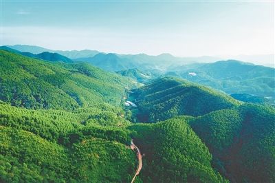 大桂山林场简介_大桂山林场_大桂山林场场长