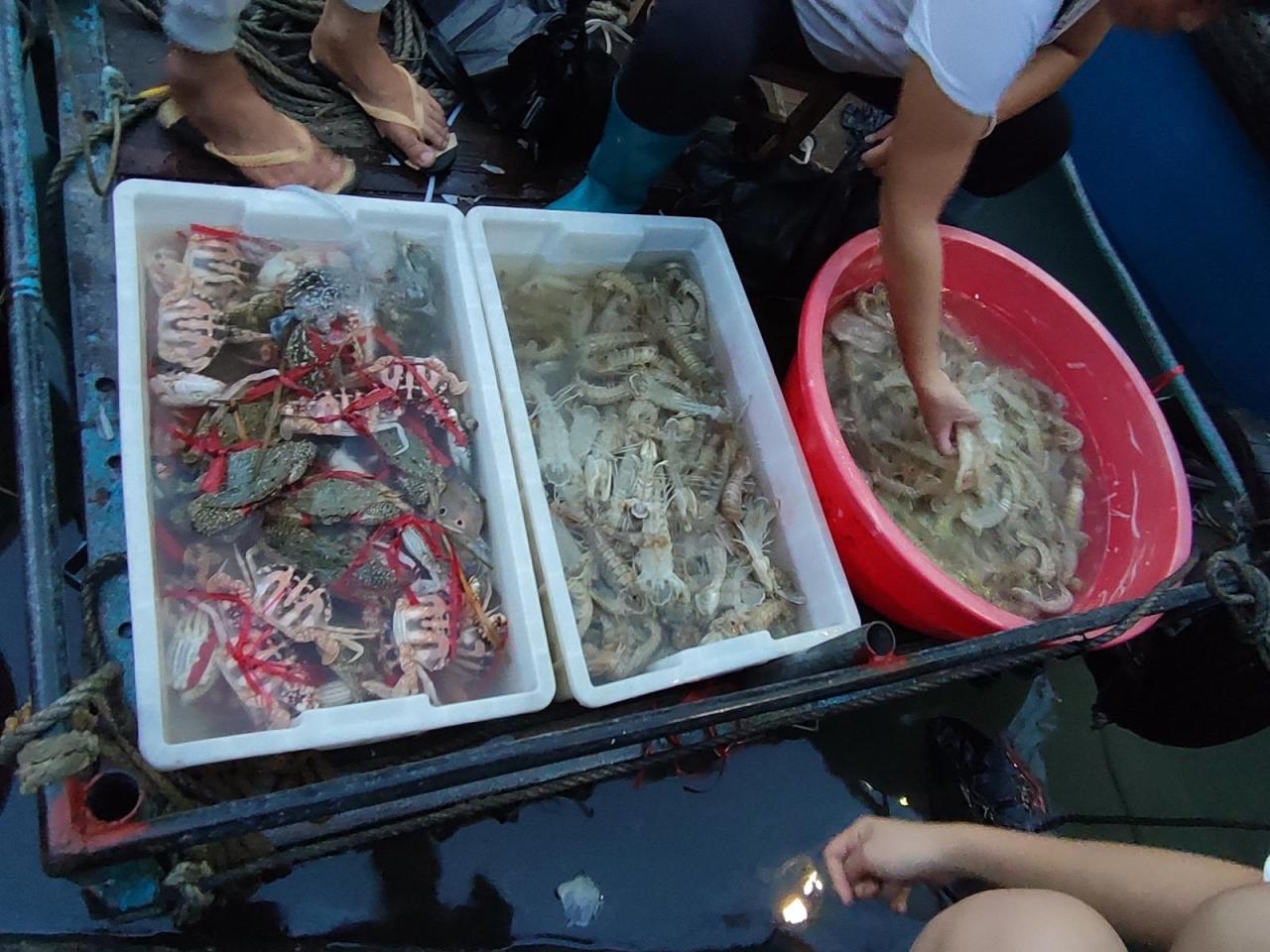 海鲜价格_海鲜价格一览表_海鲜价格每日查询系统