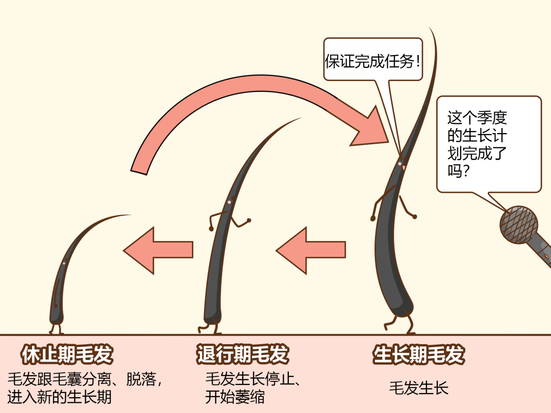 3天头发长10厘米秘诀_头发厘米图_头发长厘米大约多久