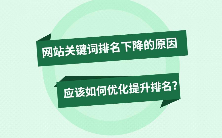 查询网站ip_网站seo查询_查询网站ip地址