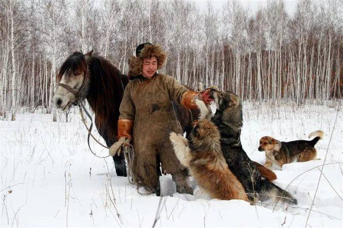 犬种大全图片及名字_犬种大全_犬种大全排名