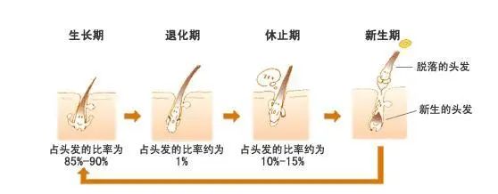 头发厘米图_头发长厘米大约多久_3天头发长10厘米秘诀