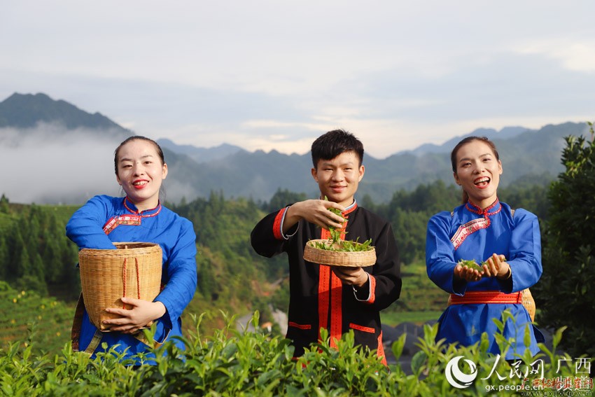 河池地图_河池地图高清地图_河池地图高清版大图片