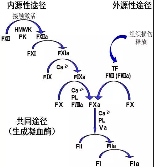 级联if_级联方式是什么意思_级联什么意思