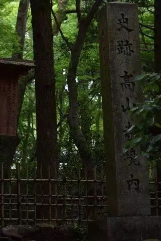 高山寺_高山寺庙的诗句_高山寺庙风景图片大全