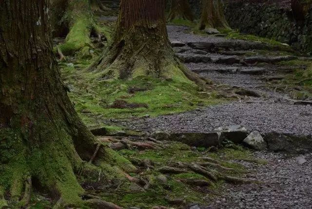 高山寺庙风景图片大全_高山寺_高山寺庙的诗句