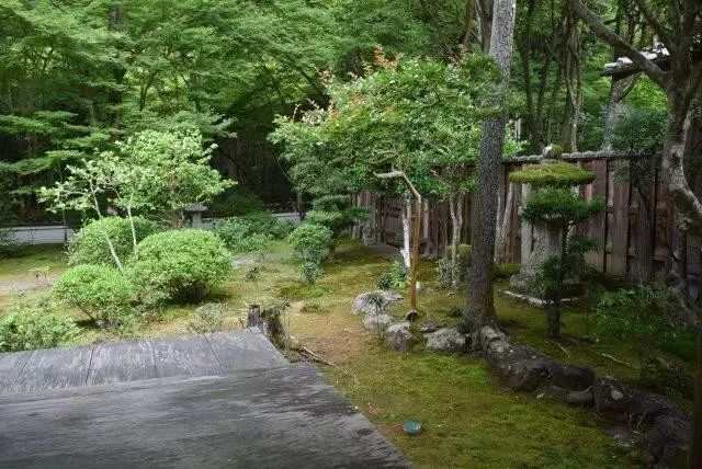 高山寺庙风景图片大全_高山寺庙的诗句_高山寺