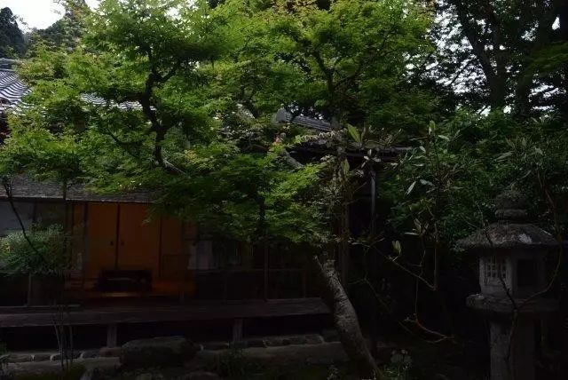 高山寺庙风景图片大全_高山寺庙的诗句_高山寺