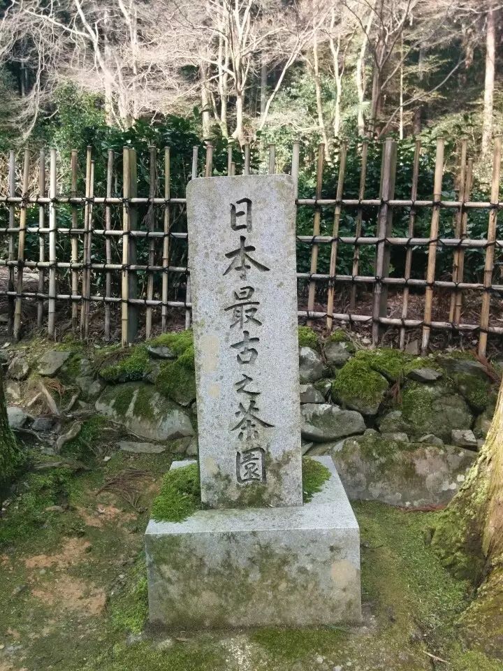 高山寺_高山寺庙的诗句_高山寺庙风景图片大全