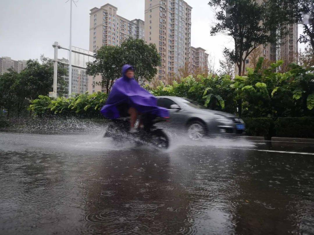 大雨迎来山东天气怎么样_山东迎来大到暴雨_山东将迎来4天的大雨