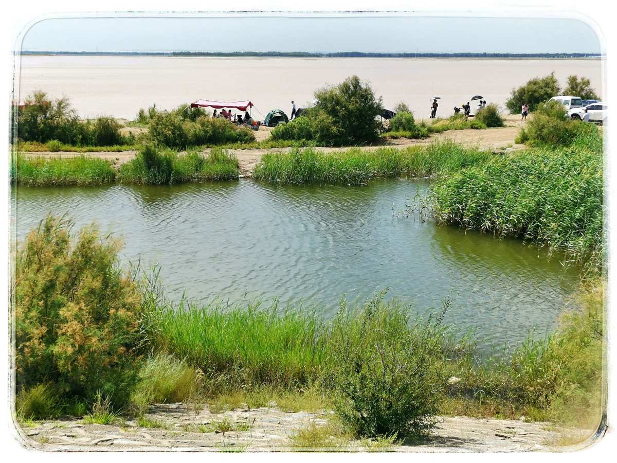 沙河湿地公园好玩吗_大沙河湿地公园改造_大沙河湿地公园