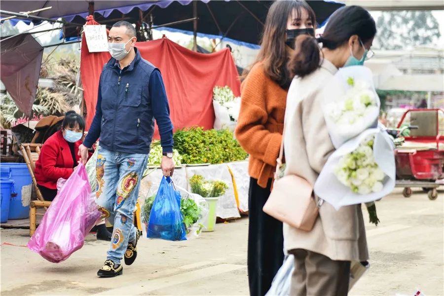 成都市花卉市场批发在哪里_成都花市_成都市花是什么花