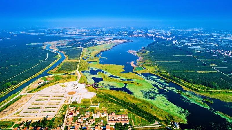 大沙河湿地公园_沙河湿地公园好玩吗_大沙河湿地公园改造