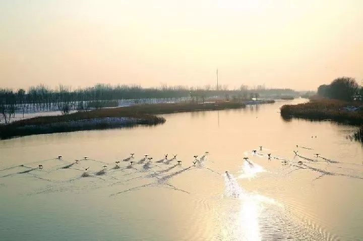 沙河湿地公园好玩吗_大沙河湿地公园_大沙河湿地公园改造