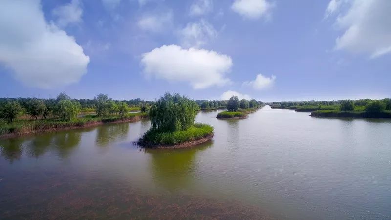 大沙河湿地公园_大沙河湿地公园改造_沙河湿地公园好玩吗