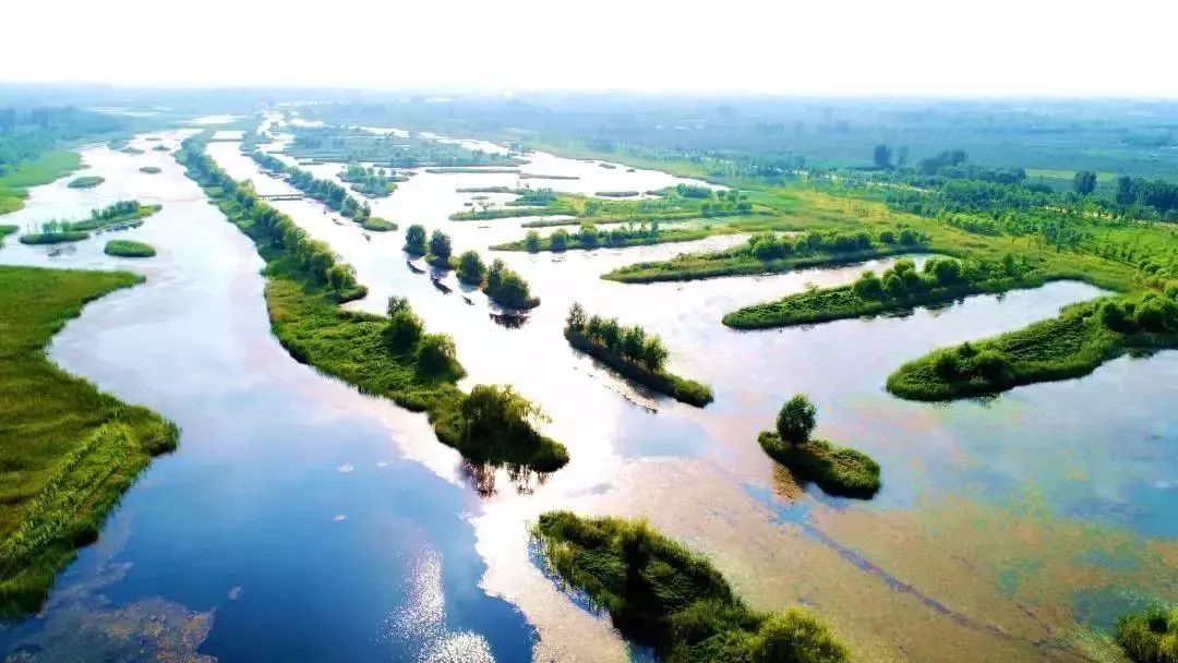 沙河湿地公园好玩吗_大沙河湿地公园_大沙河湿地公园改造