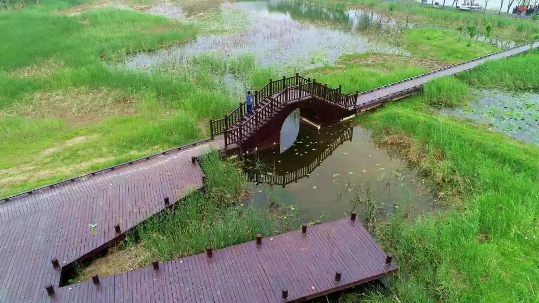 大沙河湿地公园_大沙河湿地公园改造_沙河湿地公园好玩吗