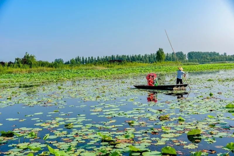 大沙河湿地公园改造_大沙河湿地公园_沙河湿地公园好玩吗