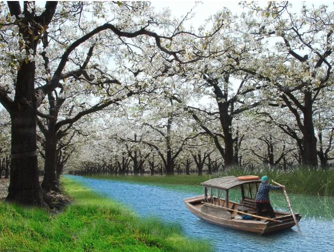 大沙河湿地公园改造_大沙河湿地公园_沙河湿地公园好玩吗