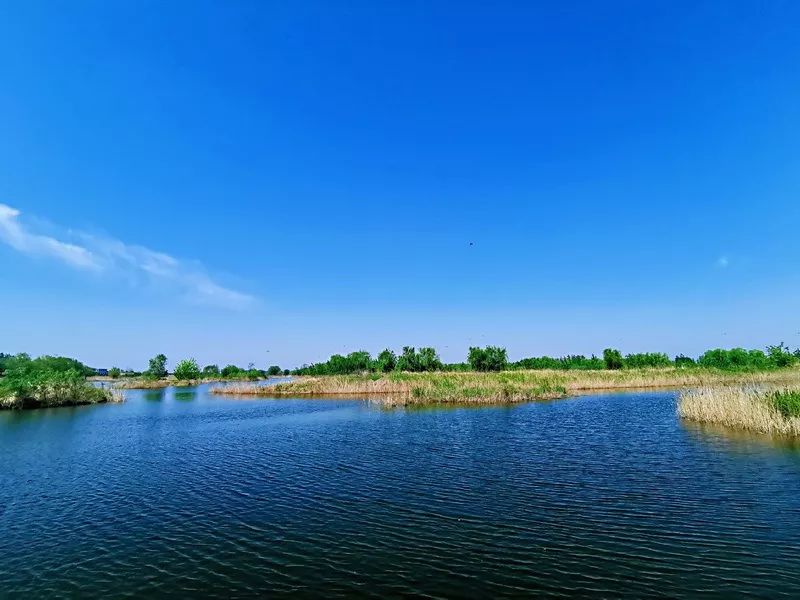 大沙河湿地公园_大沙河湿地公园改造_沙河湿地公园好玩吗