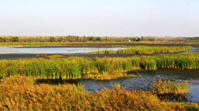 孟州黄河湿地雕塑公园最近的村_郑州黄河湿地公园_孟津黄河湿地