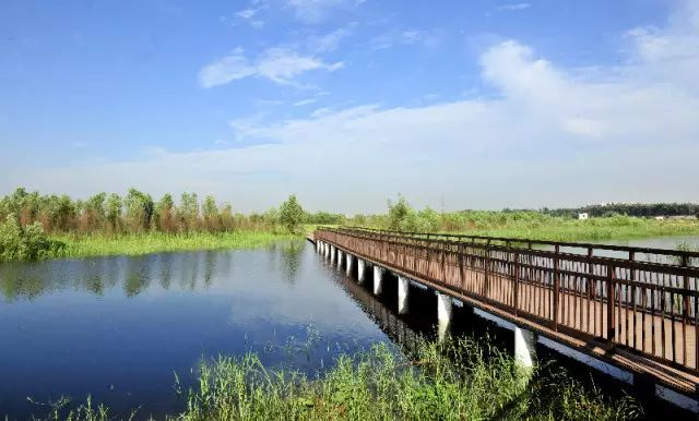 郑州黄河湿地公园_孟津黄河湿地_孟州黄河湿地雕塑公园最近的村