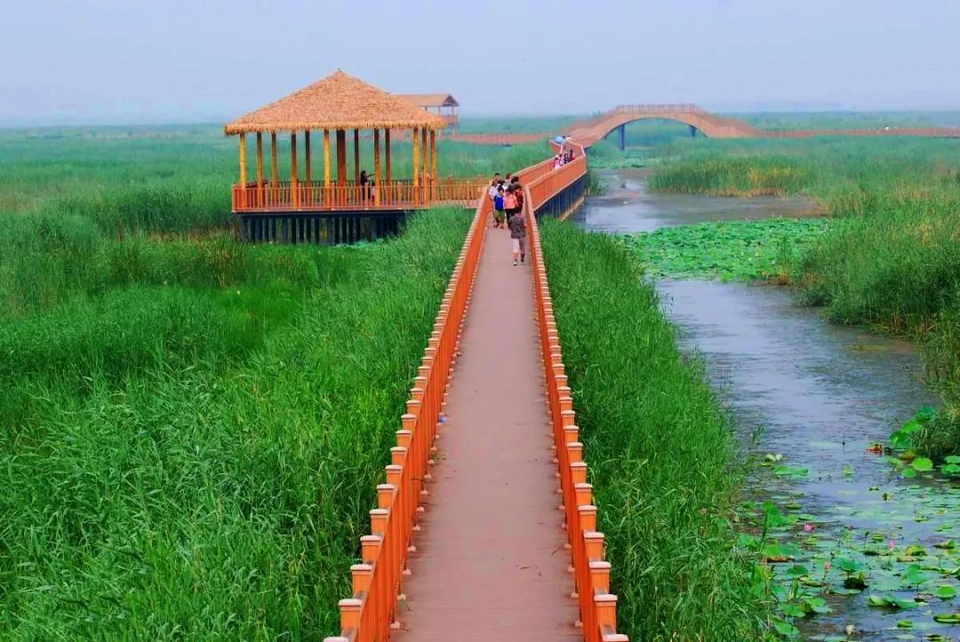 老年专列旅游真实感受_老年人专列旅游_2020年老年旅游专列计划