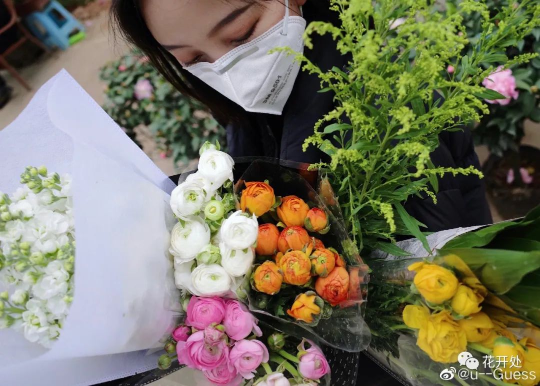 三圣花乡花卉市场在哪里_三圣花乡_三圣花乡哪个景区好玩