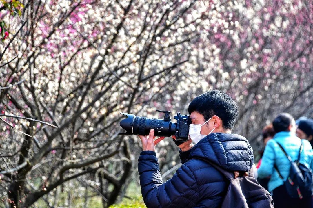 洛阳市花园学校_洛阳市花卉市场在哪里_洛阳市花