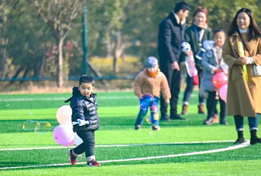 洛阳市花_洛阳市花卉市场在哪里_洛阳市花园学校