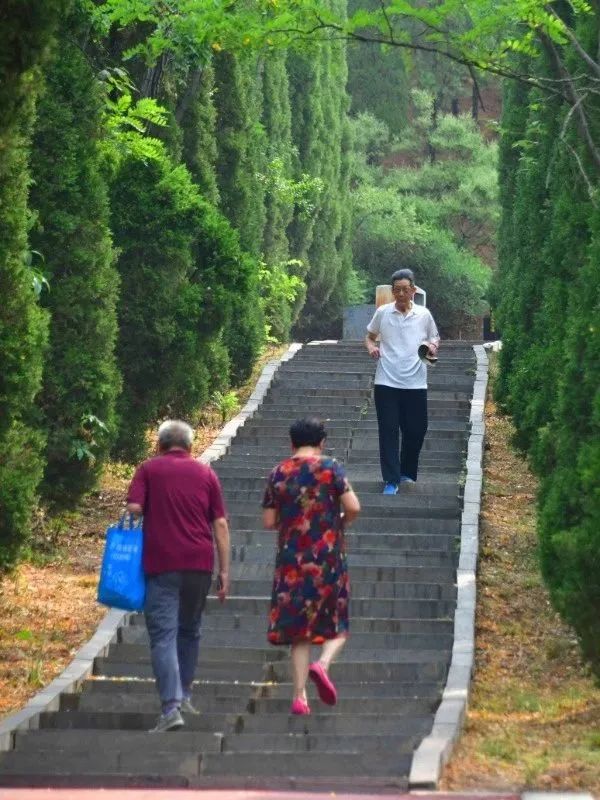 洛阳市花_洛阳市花园学校_洛阳市花卉市场在哪里