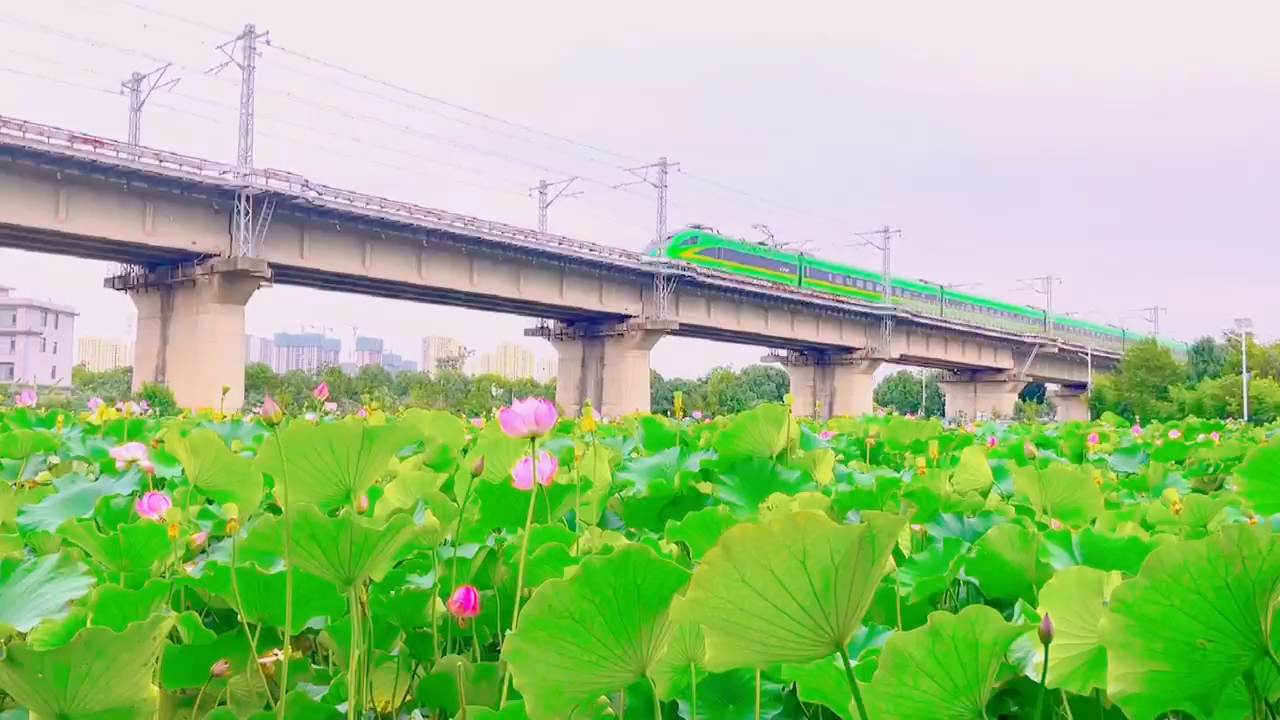 老年人专列旅游_老年专列旅游真实感受_2020年老年旅游专列计划