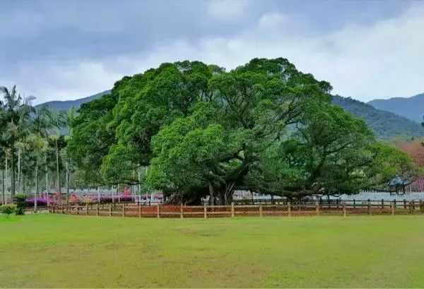 五一自驾合适旅游游带孩子去吗_五一自驾合适旅游游带孩子吗_五一自驾游去哪旅游最合适带孩子