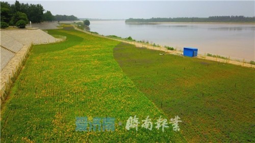 大沙河湿地公园改造_大沙河湿地公园_沙河湿地公园好玩吗