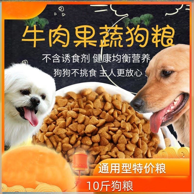 狗狗大全_狗狗品种大全及图片_狗狗大全名字