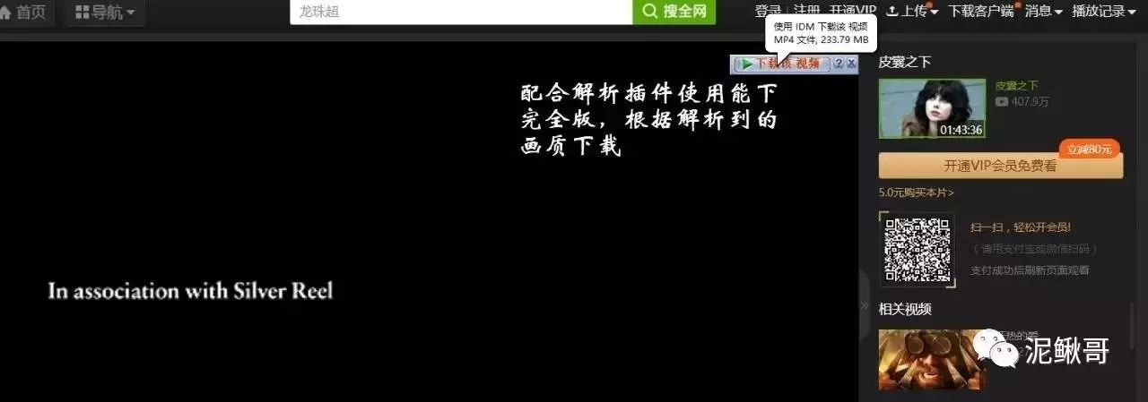 视频万能插件下载免费_万能视频下载插件怎么用_万能视频下载插件