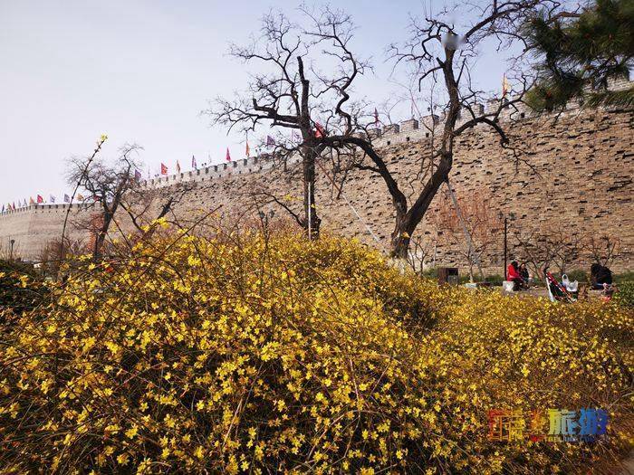 洛阳市花卉市场在哪里_洛阳市花园学校_洛阳市花