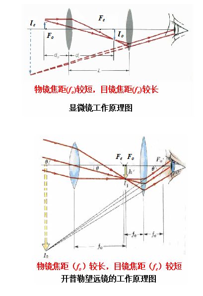 显微镜构造图怎么画_显微镜的结构图怎么画清晰_显微镜结构图