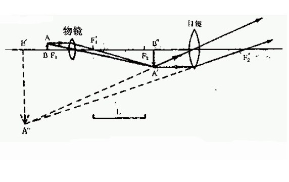 显微镜构造图怎么画_显微镜的结构图怎么画清晰_显微镜结构图