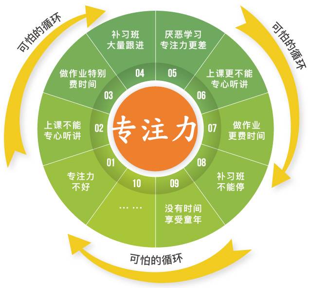 巴蜀常春藤学校学费_巴蜀常春藤学校江南校区_巴蜀常春藤学校