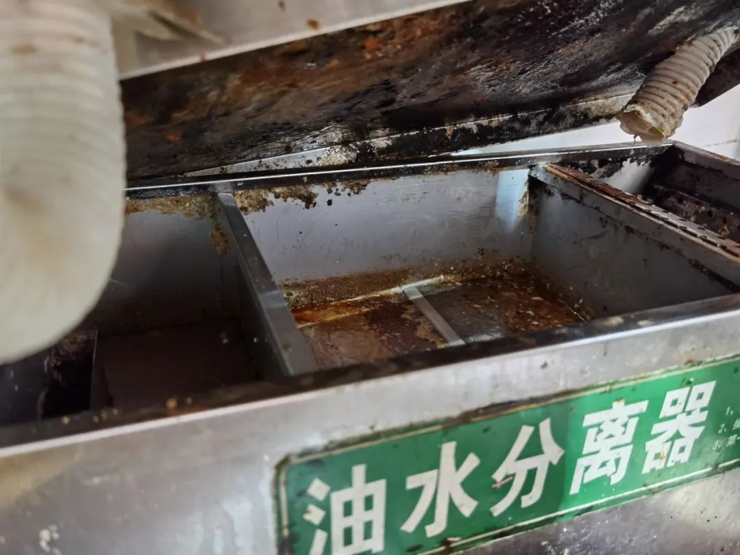 回收餐饮废油违法吗_餐饮废油回收_回收餐饮废油干什么用